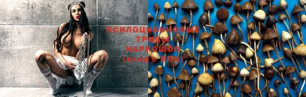 кокаин премиум Новозыбков