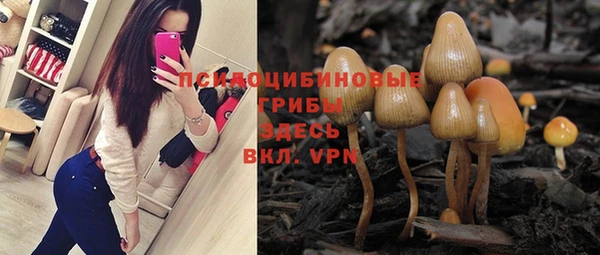 спайс Новодвинск