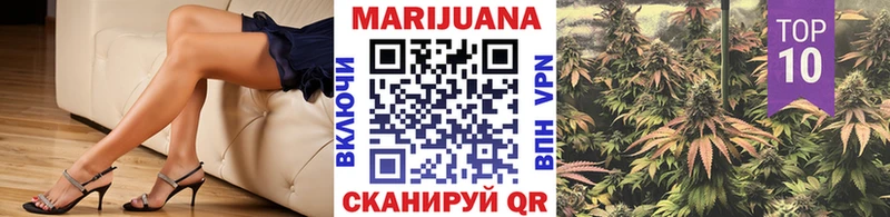 Бошки Шишки SATIVA & INDICA  KRAKEN зеркало  Красный Кут 